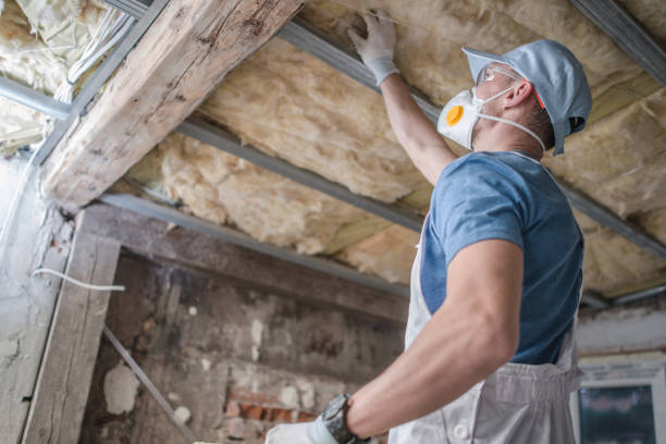 Best Insulation Installation Services in Romeo, MI